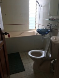 Pandan Valley (D21), Condominium #169295822
